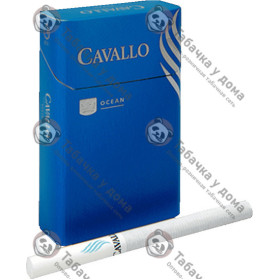 Cavallo Ocean