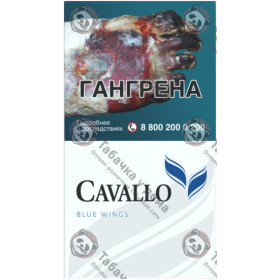 Cavallo Blue Wings